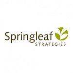 Springleaf Strategies logo