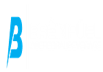 BreinFuel logo