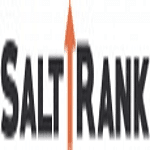 Salt Rank - Digital Marketing Agency,USA logo