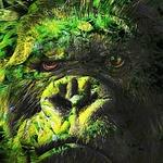 Green Gorilla Video