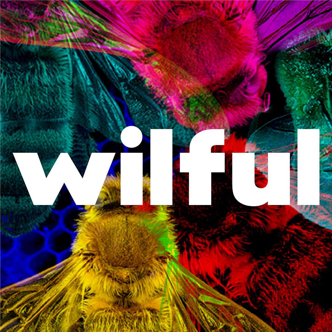 The Wilful Group cover