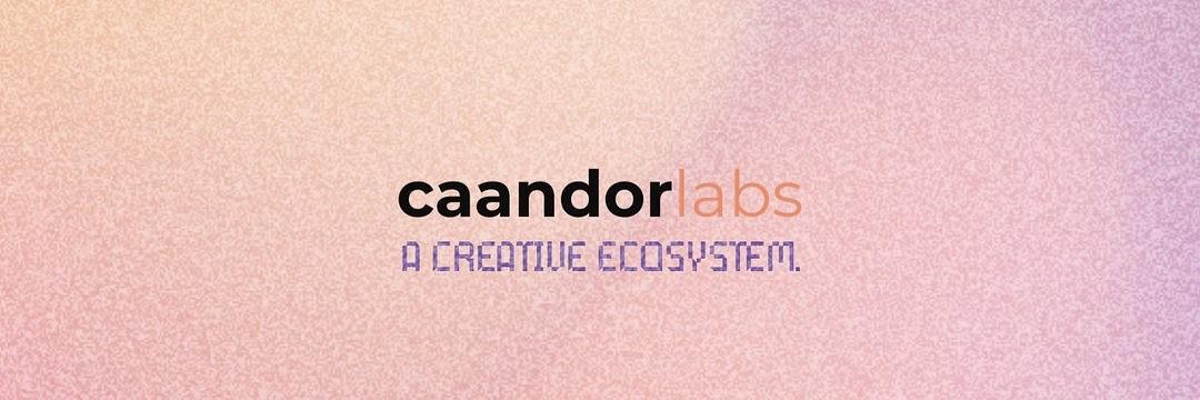 Caandor Labs cover