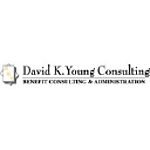 DK Young Consulting