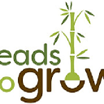 Leads to Grow Sales logo