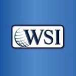 Expert WSI eMarketing logo