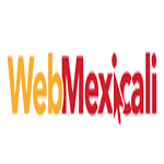Web Mexicali logo