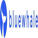 Blue Whale Apps logo