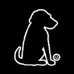 Black Dog Advertising logo