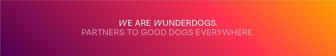 Wunderdogs cover