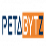Petabytz Technologies Inc logo