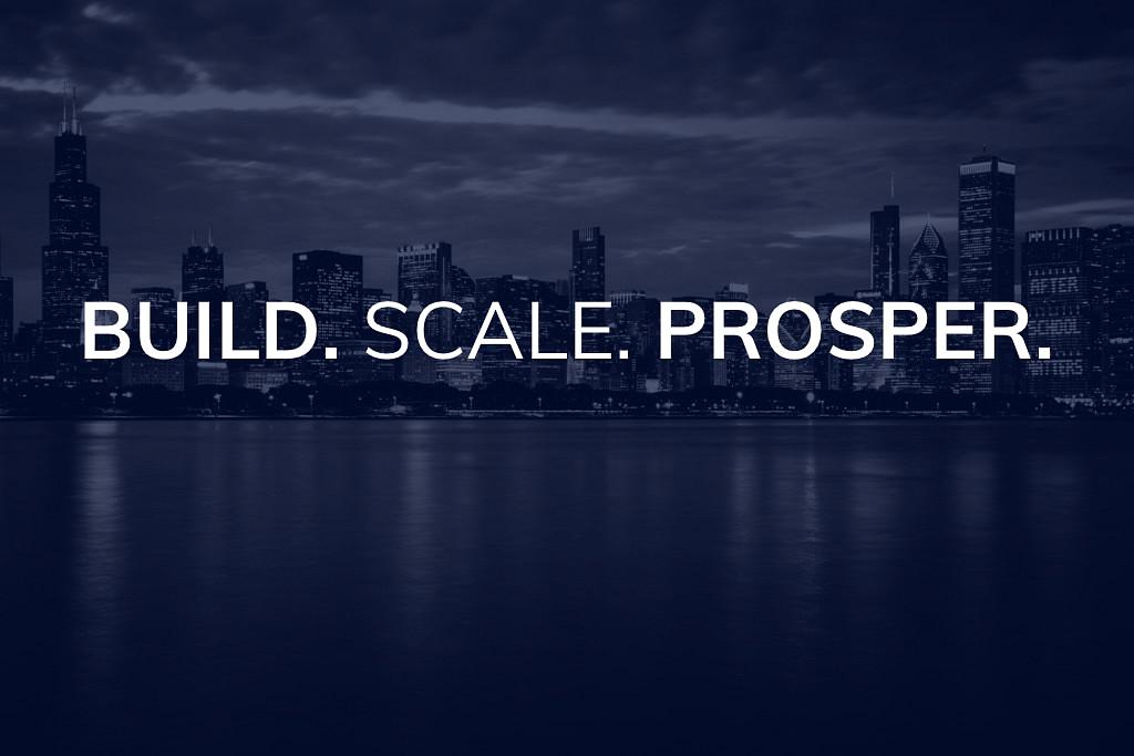 Build. Scale. Prosper. cover