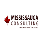 Mississauga Consulting - Digital Marketing, SEO, Web Design logo