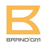 BRANDIGM logo
