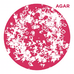 AGAR logo