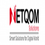 Netqom Software Pvt. Ltd logo