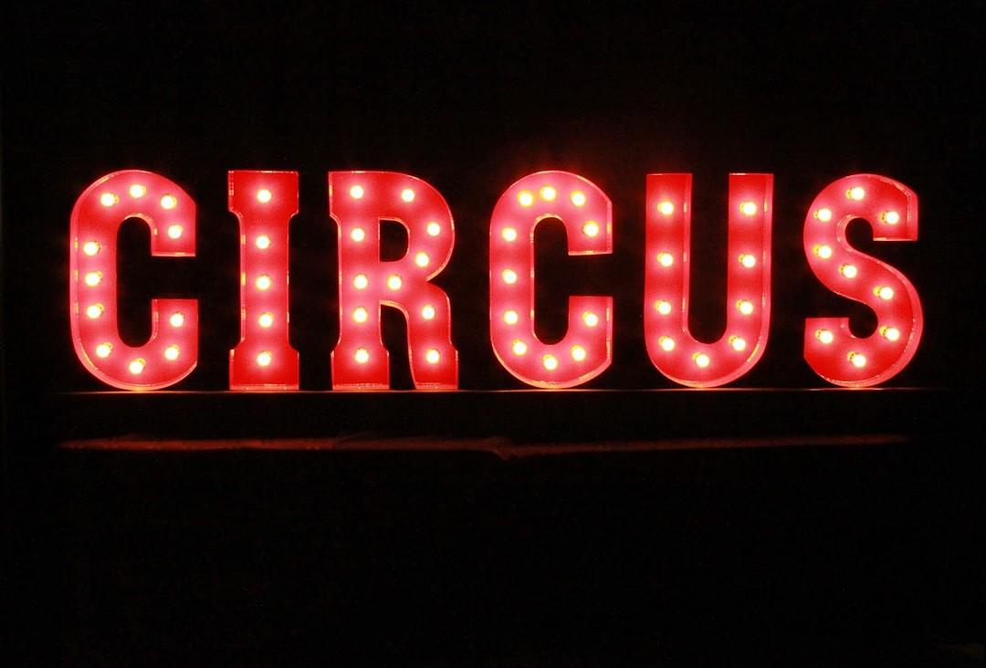 Cincinnati Circus Company cover