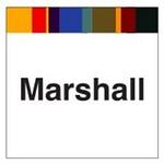 Marshall Strategy logo