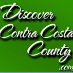 Discover County Network logo