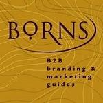 Borns LLC logo