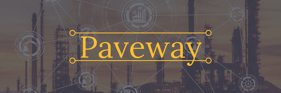 Paveway cover