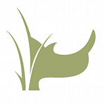 White Rhino Productions logo