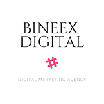 Bineex Digital logo