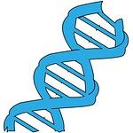 DNA Vertical, Inc.