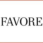 Favore Media Group logo