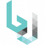 Boise digital marketing logo