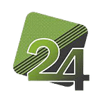 Designsin24 logo