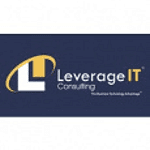 Leverage IT Consulting logo