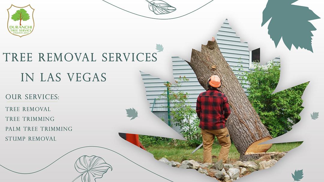 Duranchi Tree Service cover