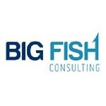 Big Fish Consulting