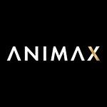 Animax Designs Inc
