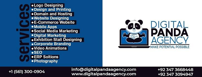 Digital Panda Agency cover