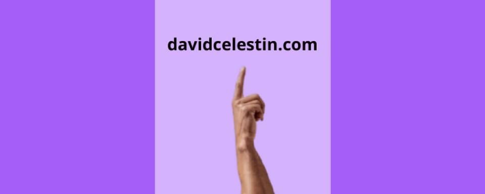 DAVIDCELESTIN.COM cover