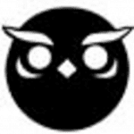 Desert Owl Games logo