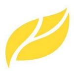 Yellow Leaf Marketing logo