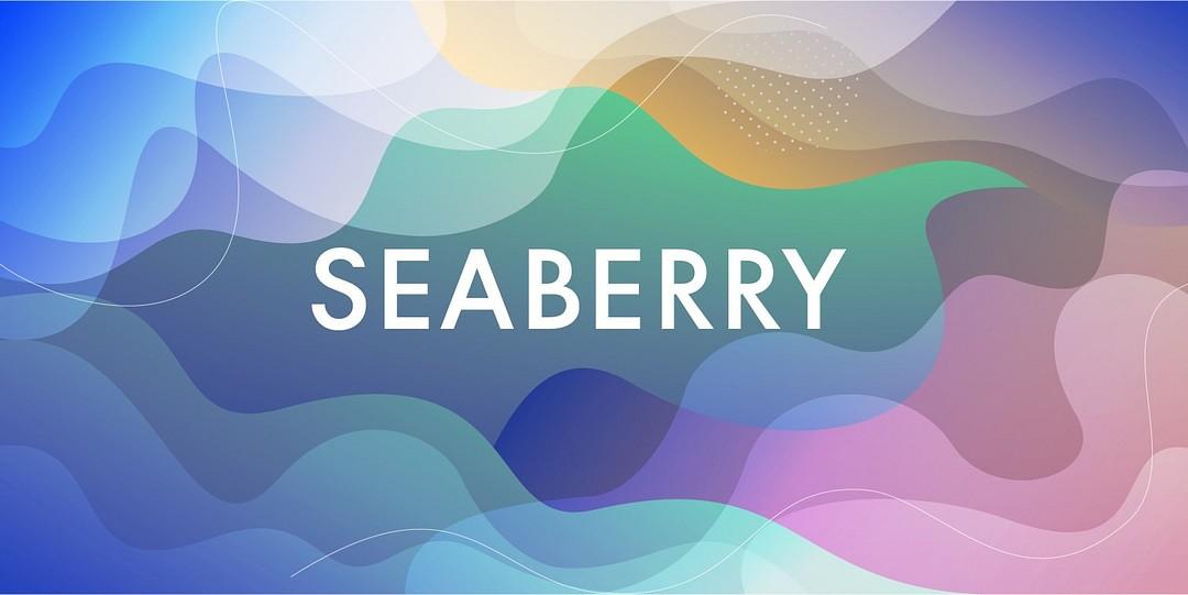 Seaberry Graphic Design and Communications cover