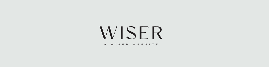 A Wiser Website cover