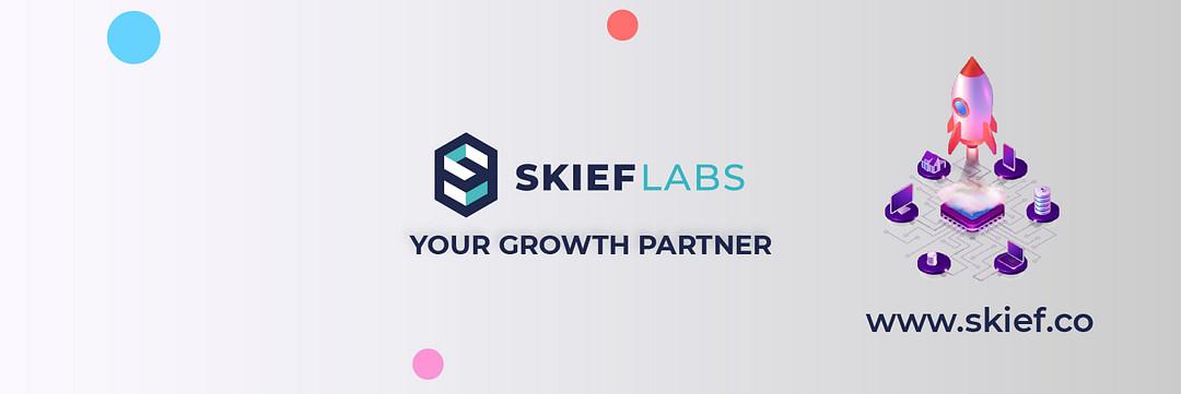 Skief Labs cover