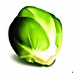 Sprout Marketing