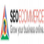 Ecommerce SEO Hub