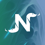 React JS Development Nyoka logo