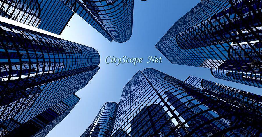 CityScope Net cover