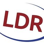 LDR Web Design Agency logo