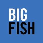 BIG FISH PR logo