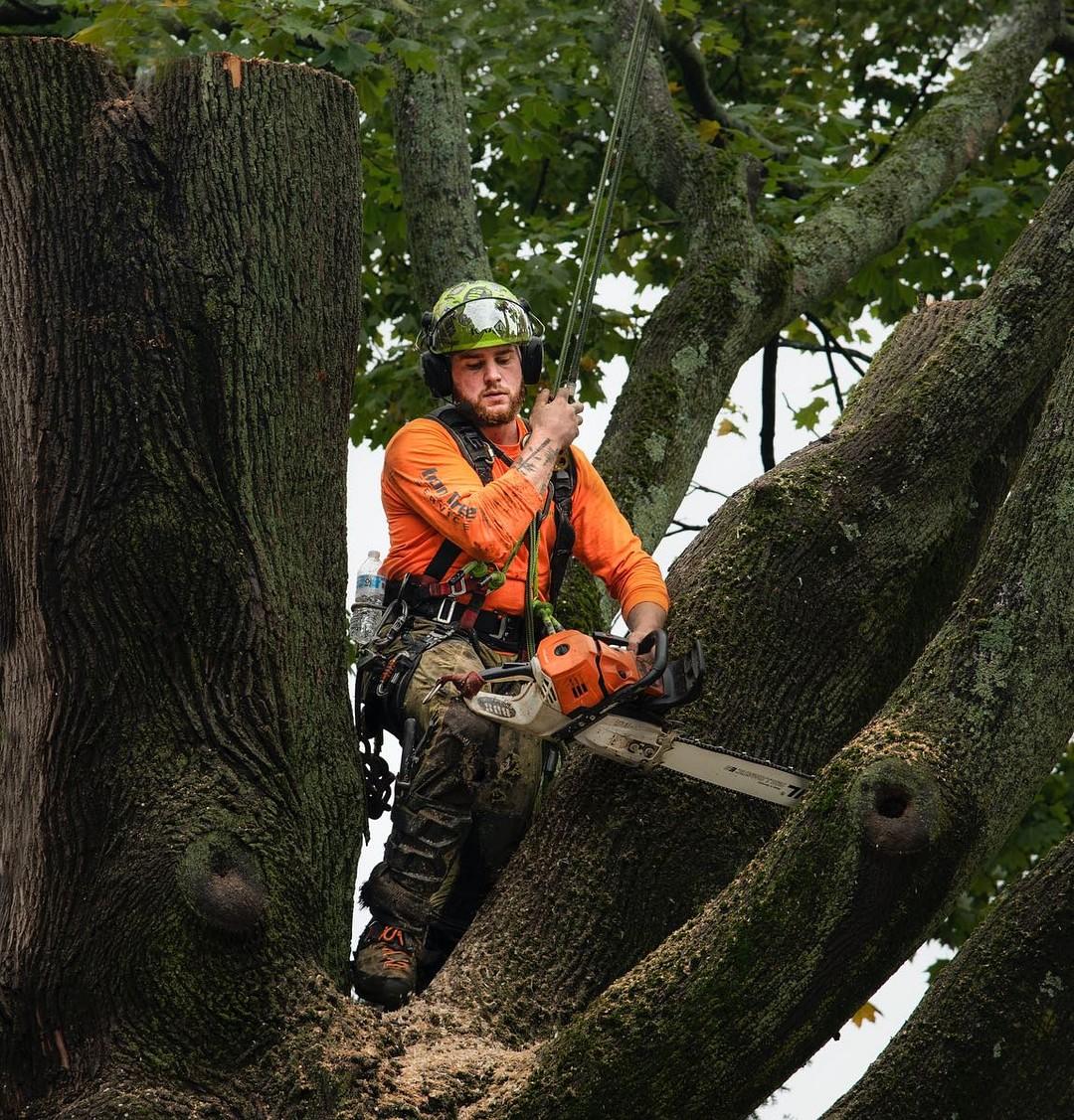 Pay After Profit - Tree Service Marketing cover