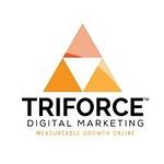 Triforce Business Solutions logo