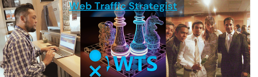 Web Traffic Strategist Inc. cover